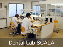 Dental Lab SCALA